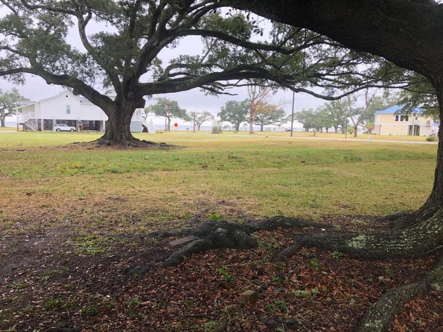 Shady Oaks Beach House With Beautiful Ocean Views! Gulfport Eksteriør bilde